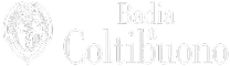 Badia a Coltibuono white logo